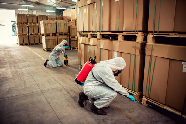 Best Pest Prevention Services  in Bertram, TX