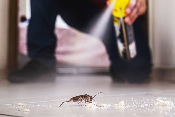 Best Bed Bug Extermination  in Bertram, TX